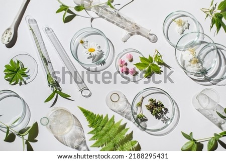 Natural medicine, cosmetic research, bio science, organic skin care products. Petri dish on white background. Top view, flat lay. Concept skincare. Dermatology.