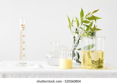 Natural medicine, Equipment and science experiments, Formulating the chemical for medicine, Organic pharmaceutical, Alternative medicine concept. (Selective Focus)