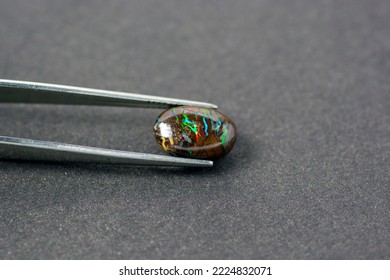 Natural mined, genuine Australian boulder opal. Green, red, blue veins in dark brown matrix. Oval shaped cabochon in tweezers. Gray textured background. Loose gemstone setting for jewelry making. - Shutterstock ID 2224832071