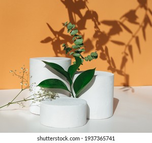 Natural Minimal Beauty Pedestal. Empty Cosmetics Podiums On Beige Background With Shadow And  Leaves For Product. 

