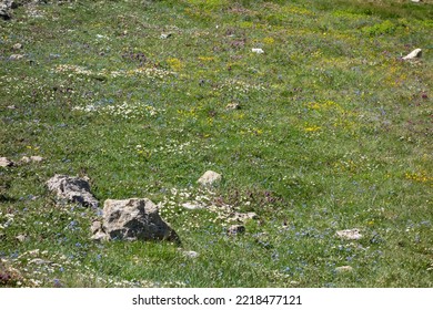 A Natural Mountain Landscape In The Alps Of Austria, Europe