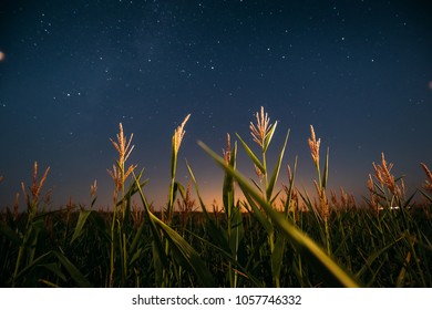 August Nature Images, Stock & Vectors | Shutterstock