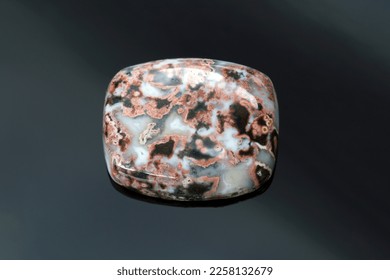 Natural ocean jasper cabochon loose polished gemstone. Barrel shaped, opaque gem with black and red veins pattern in white mossy base. Mined in Madagascar. Gemology, mineralogy, lapidary. - Shutterstock ID 2258132679