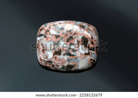 Natural ocean jasper cabochon loose polished gemstone. Barrel shaped, opaque gem with black and red veins pattern in white mossy base. Mined in Madagascar. Gemology, mineralogy, lapidary. 商業照片 © 