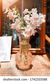 Natural ordinary view and objects for background. Flower in the jar set on the wood table.