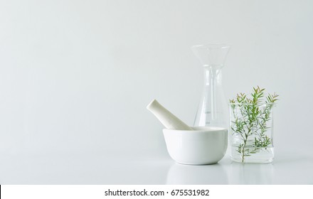 Natural Organic Botany And Scientific Glassware, Alternative Herb Medicine, Natural Skin Care Beauty Products, Research And Development Concept.