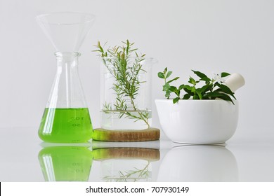 Natural organic botany and scientific glassware, Alternative herb medicine, Natural skin care cosmetic beauty products, Research and development concept. (Selective Focus)