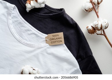 Natural Organic Cotton T-shirts And Cotton Plant Flowers On White Table. Eco Clothes, Fashion, Sustainable Lifestyle Concept