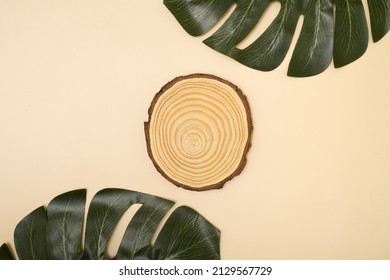 Natural Organic Eco-friendly Beauty Product Concept. Wooden Cross Section Cut On Beige Background. Showcase For Cosmetic Products. Top View, Mockup. 