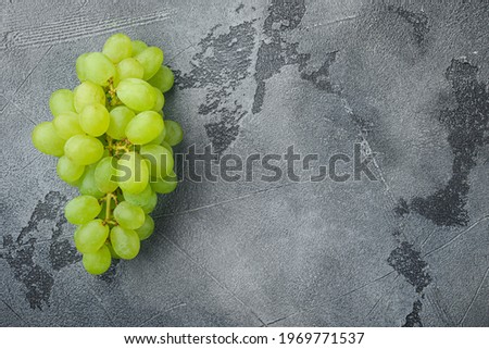 Similar – grey green red Plant