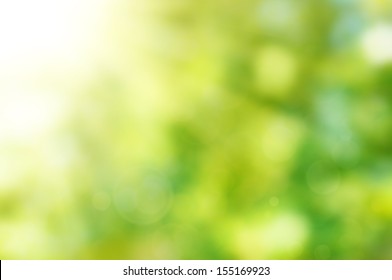 Natural Outdoors Bokeh Background  In Green And Yellow Tones With Sun Rays