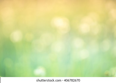 Natural Outdoors Bokeh Background In Green And Yellow Tones With Sun Rays