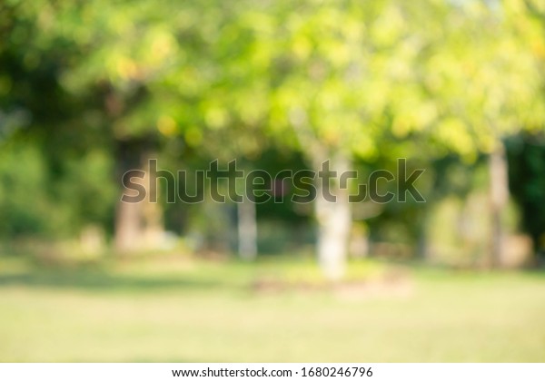 Natural Outdoors Bokeh Background Green Yellow Stock Photo (Edit Now