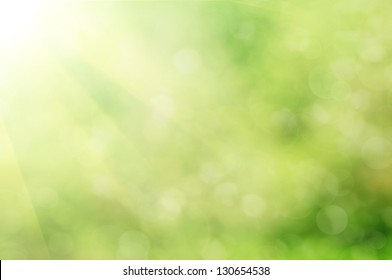 Natural Outdoors Bokeh  In Green And Yellow Tones With Sun Rays