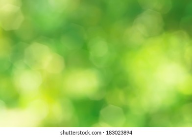 Natural Outdoors Bokeh  In Green And Yellow Tones