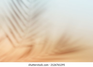 Natural palm leaves shadow gradient paper background  Abstract peach   blue tropical backdrop  Soft light