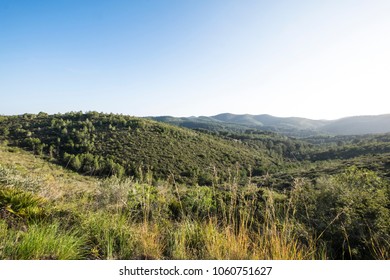 Natural Park of Garraf in Barcelona province in Catalonia Spain - Shutterstock ID 1060751627