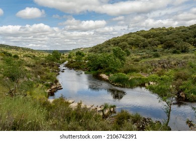 Natural park of the river Almonte with riverside woodland among dehesas en Natura 2000 network spain Extremadura - Shutterstock ID 2106742391