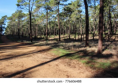 Natural Park Of The Serra De Sao Mamede In Portugal