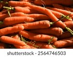 Natural pattern of fresh washed organic carrots.