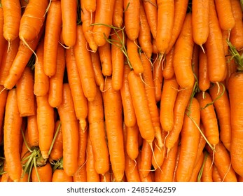 Natural pattern of fresh washed organic carrots. Full of many clean carrots vegetable background.