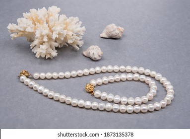 Pearly 'SilverTop' seashell 