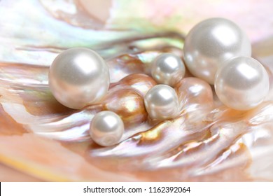 Natürliche Perlen in der Austernschale