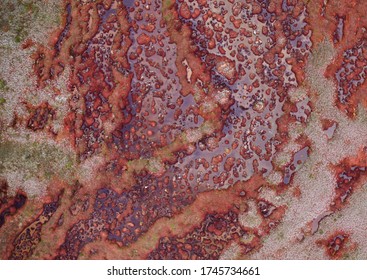 Natural Peatland, Overhead Aerial View Of A Red Peat Fen And Sphagnum Magellanicum Moss In Tierra Del Fuego, Patagonia Argentina