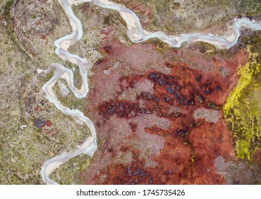 Natural Peatland, Overhead Aerial View Of A Red Peat Bog And Meadow Divided By A Glacier Water Stream In Tierra Del Fuego, Patagonia Argentina