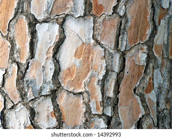 natural pine tree bark abstract background - Shutterstock ID 14392993