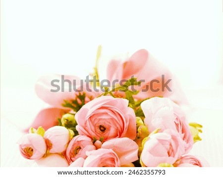 Similar – Image, Stock Photo Woman arranges luxury bouquet of flowers