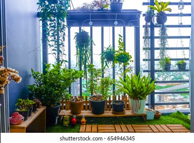 Natural Plants In The Hanging Pots At Balcony Garden