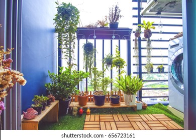 Natural Plants In The Hanging Pots At Balcony Garden