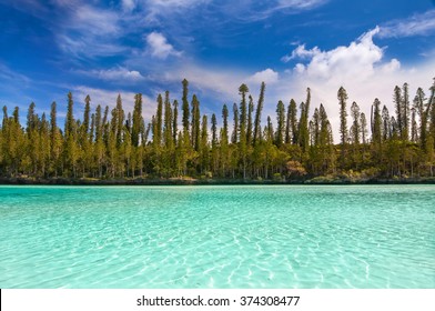 Plage Nouvelle Caledonie Images Stock Photos Vectors