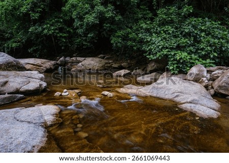 a natural pure small stream river from wellspring from the high mountain flowing through rock basin 