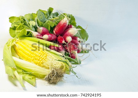 Similar – Beetroot, zucchini and corn on blue background