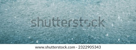natural raindrops from a thundershower in summertime with motion blur,  banner concept for nature element insurance, climate change or vacation in nature