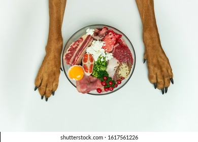 Natural raw dog food in bowl on white floor and dog's paws on background. Dog nutrition concept. BARF dog diet. - Shutterstock ID 1617561226