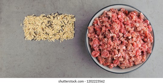 Natural raw ingredients for pet food on grey background. Flat lay.
