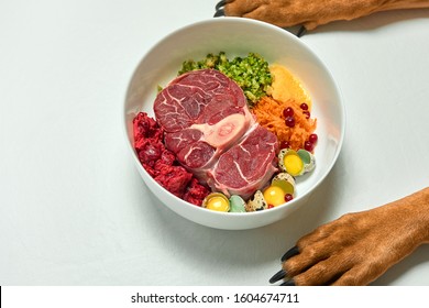 Natural Raw Organic Dog Food In Bowl And Dog's Paws On White Background. BARF Dog Diet. 