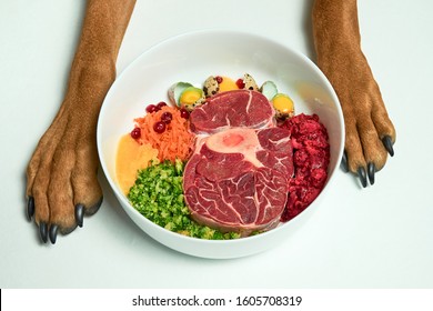 Natural Raw organic dog food in bowl and dogs paws on white background. BARF dog diet. Raw meat, eggs, vegetables. - Shutterstock ID 1605708319