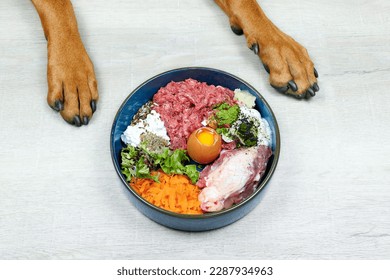 Natural Raw organic dog food in bowl and dogs paws on grey background. BARF Diet for dogs Raw meat, eggs, vegetables. - Powered by Shutterstock