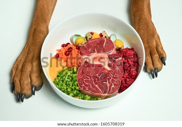 Natural Raw\
organic dog food in bowl and dogs paws on white background. BARF\
dog diet. Raw meat, eggs,\
vegetables.