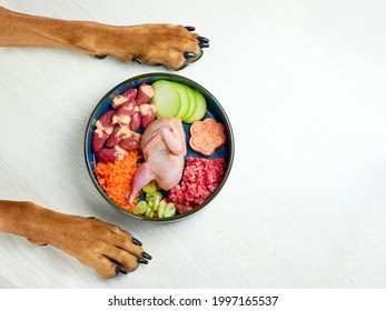 Natural raw organic dog meat food in bowl and dogs paws on white background with copy space.  - Shutterstock ID 1997165537