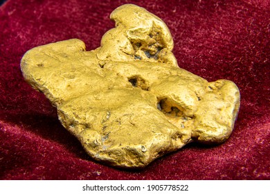 A Natural, Real, Authentic Gold Nugget Taken On Red, Burgundy Background Felt. Unique Jewellery From Nature. 