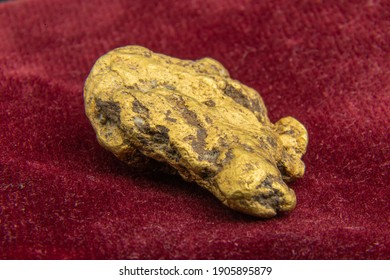 A Natural, Real, Authentic Gold Nugget Taken On Red, Burgundy Background Felt. Unique Jewellery From Nature. 