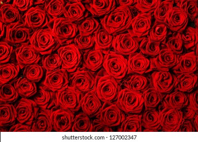 Natural red roses background - Shutterstock ID 127002347