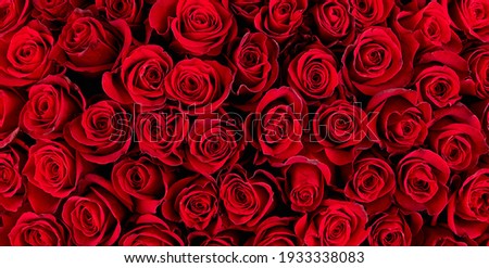 Natural red roses background. atmosphere of celebration, love and celebration
