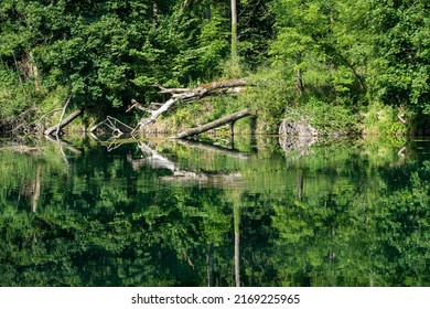 Natural Reflection On The Aare