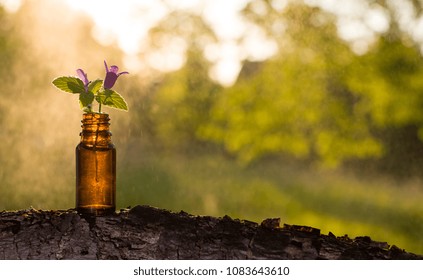 Natural Remedies, Aromatherapy - Bottle